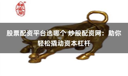 股票配资平台选哪个 炒股配资网：助你轻松撬动资本杠杆