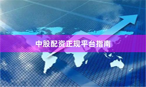 中股配资正规平台指南
